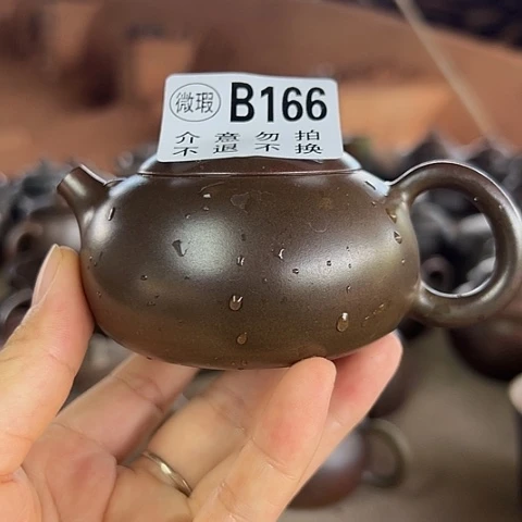 佼***戬谷龙窑柴烧茶壶166