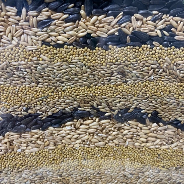 鹦鹉混合粮高能鸟粮零食牡丹鹦鹉瓜子玄凤虎皮粮食物燕麦加纳例子