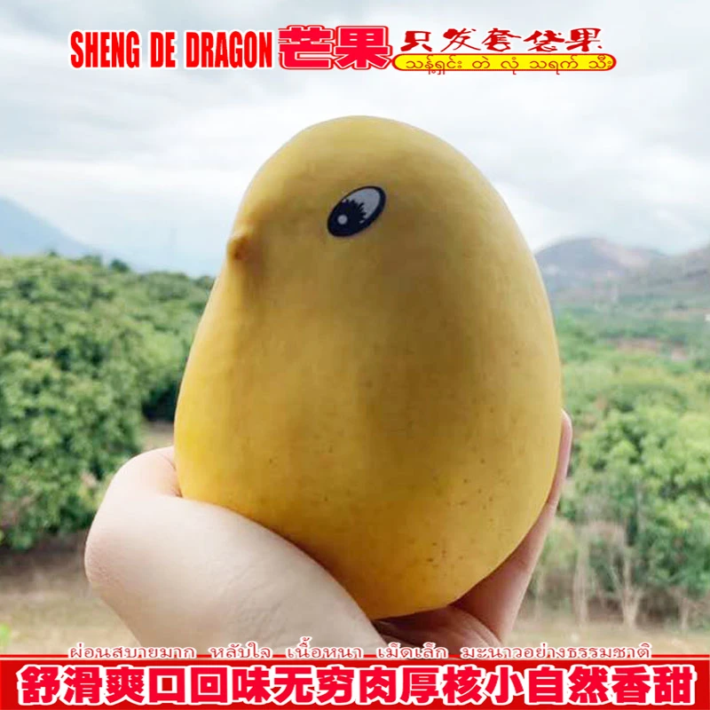 盛德龙芒果圣德隆套袋云南鹰嘴芒缅甸进口新鲜热带当季水果3-8斤