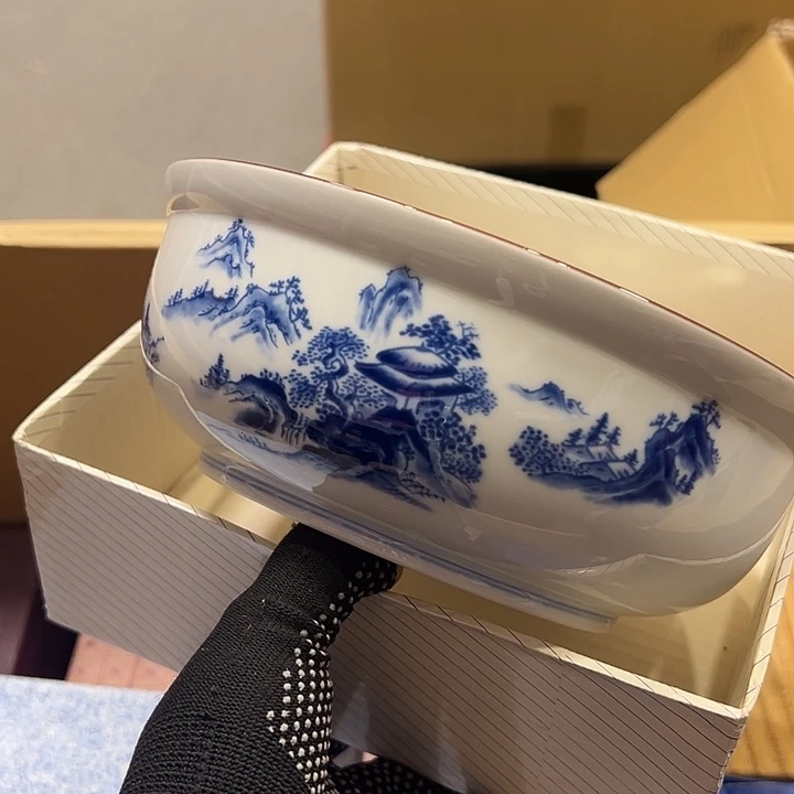 茶宠释*我的小可爱们都好