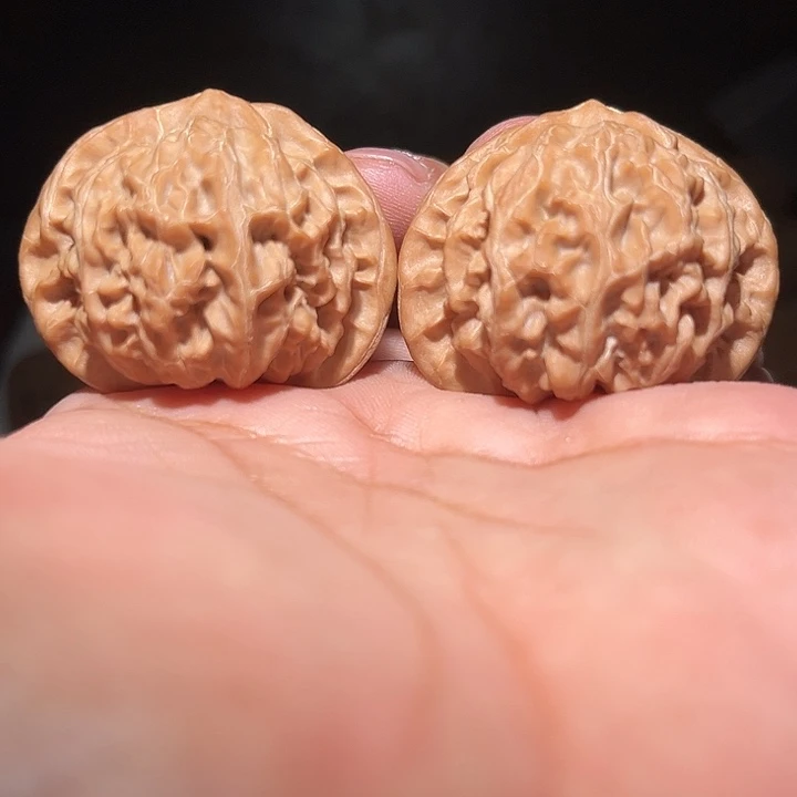 木42.5宫灯。