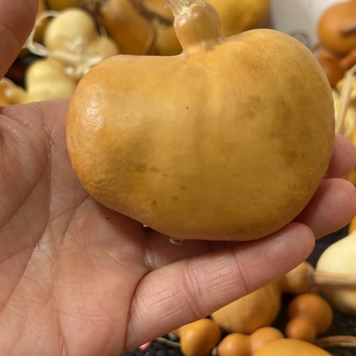 普***r葫芦葫哈哈哈哈哈哈哈哈