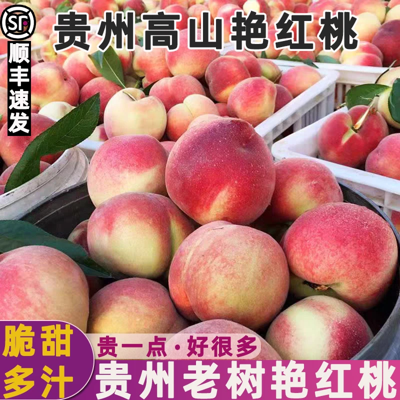 顺丰速发贵州高山艳红桃水蜜桃农家自种新鲜现摘老树脆桃时令水果