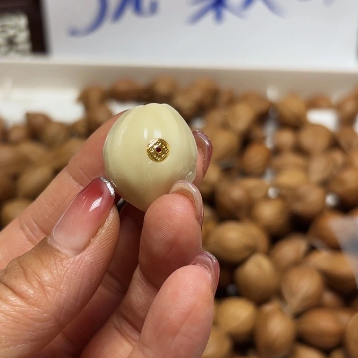 橄榄核其他潇*2.1象牙果……