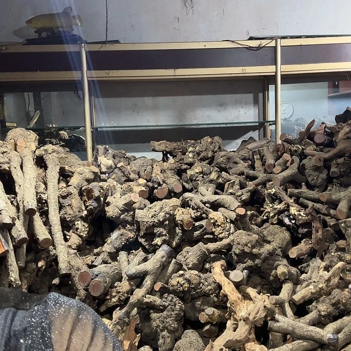 石***头香榧木火琉璃的故事是什么呢