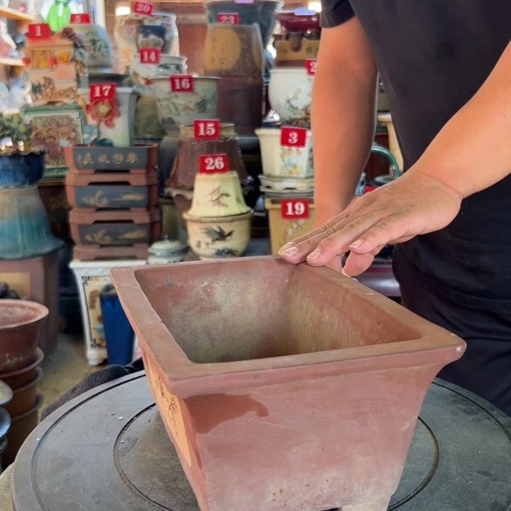 傲**华我们的生活是充满阳光活力