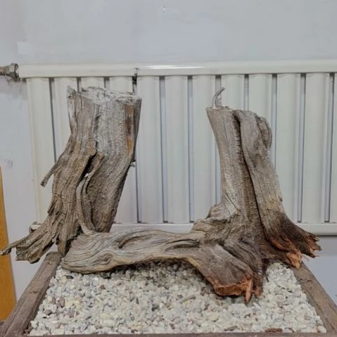 柏木（崖柏）乐****i崖柏根艺根雕天然