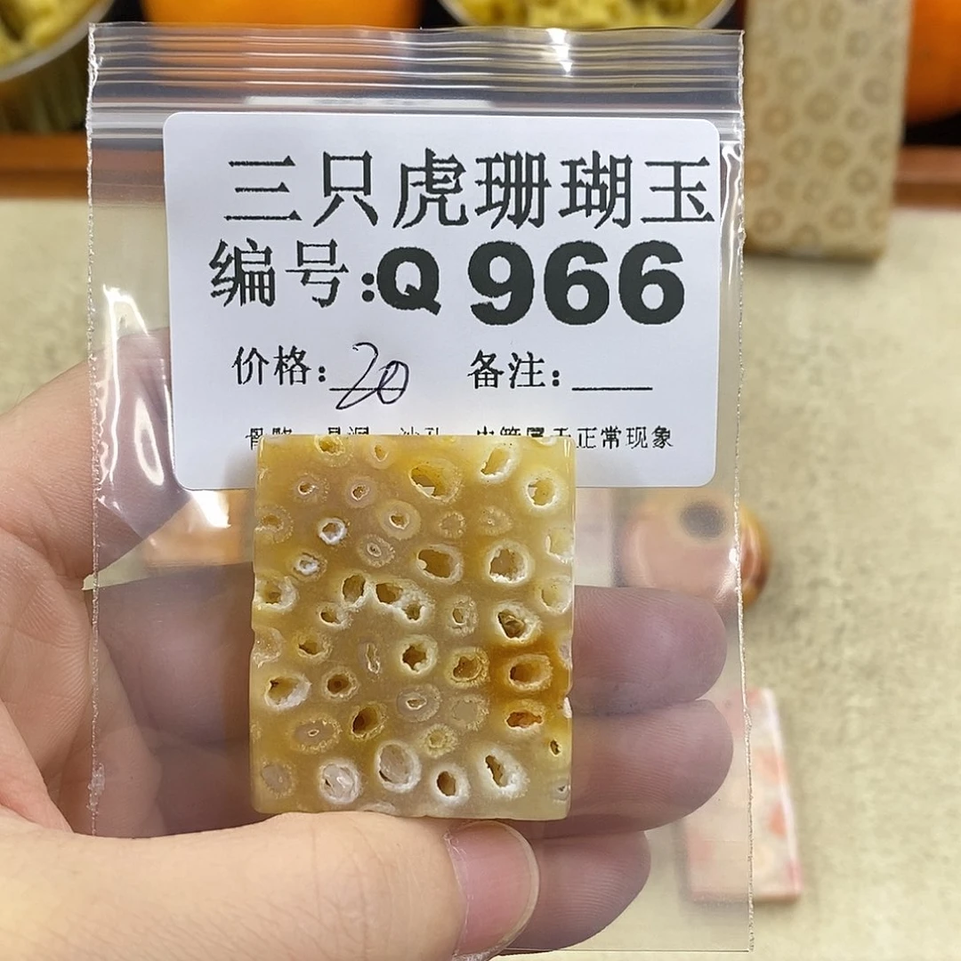 硅化珊瑚（珊瑚玉）1未镶嵌三**5