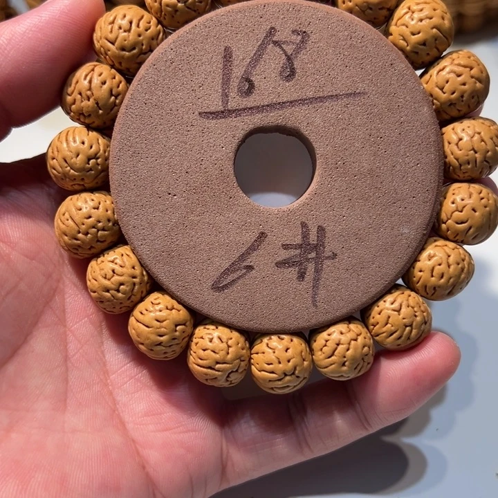 核桃桃核直播6号直播