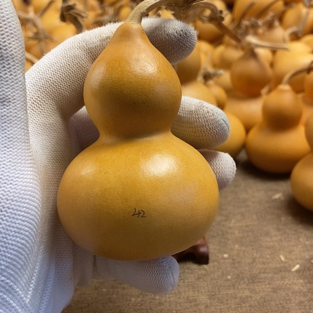 文玩葫芦 完美主义者 慎拍42