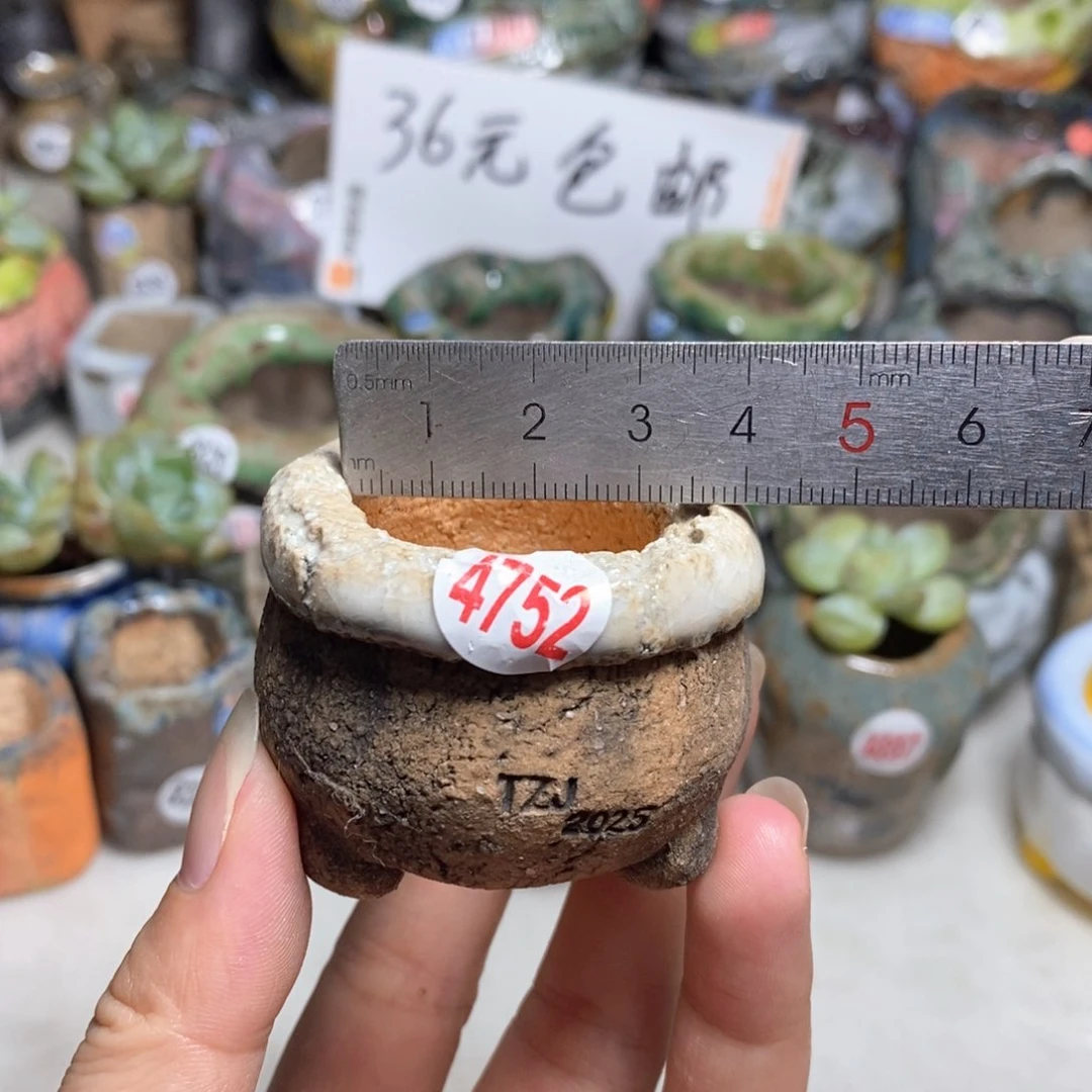 拍3送一个小礼物