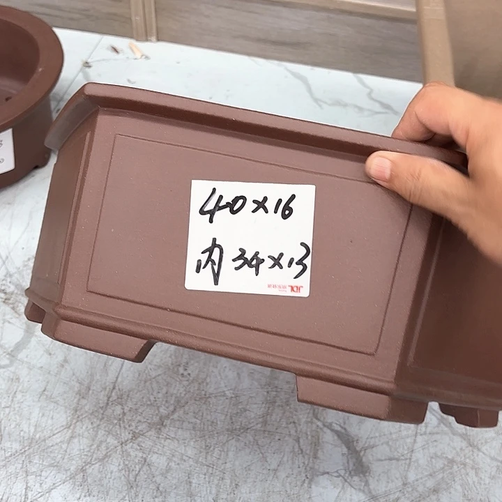紫砂花盆紫砂的花开得很漂亮