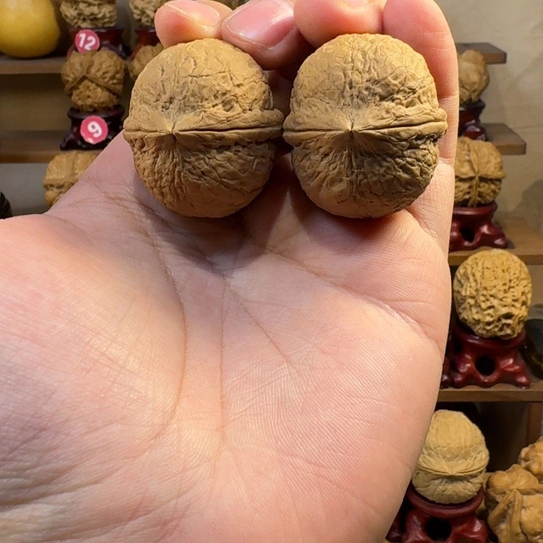 1****铁核桃把件粗筋皇冠