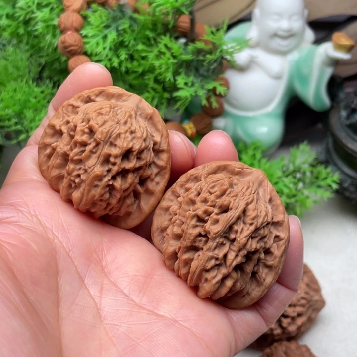 文玩核桃四座楼开播福利