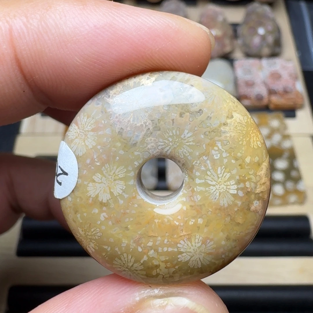 硅化珊瑚（珊瑚玉）未镶嵌纯天然色有机玉石保真色