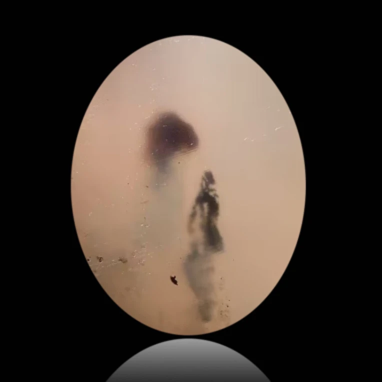 海洋玉髓精品人物-水墨美女