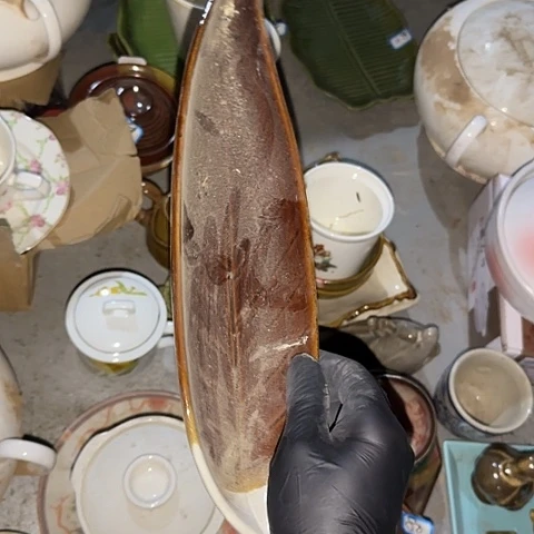 瓷片国营厂库存树叶