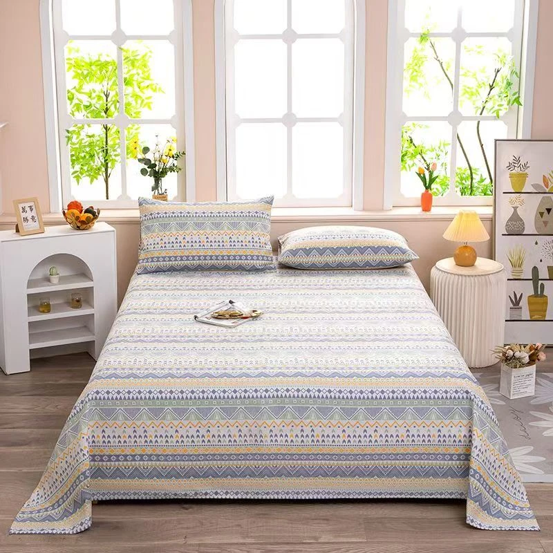 【现货现发】亲肤磨毛斜纹床单四季通用柔床单水洗加厚床单 D