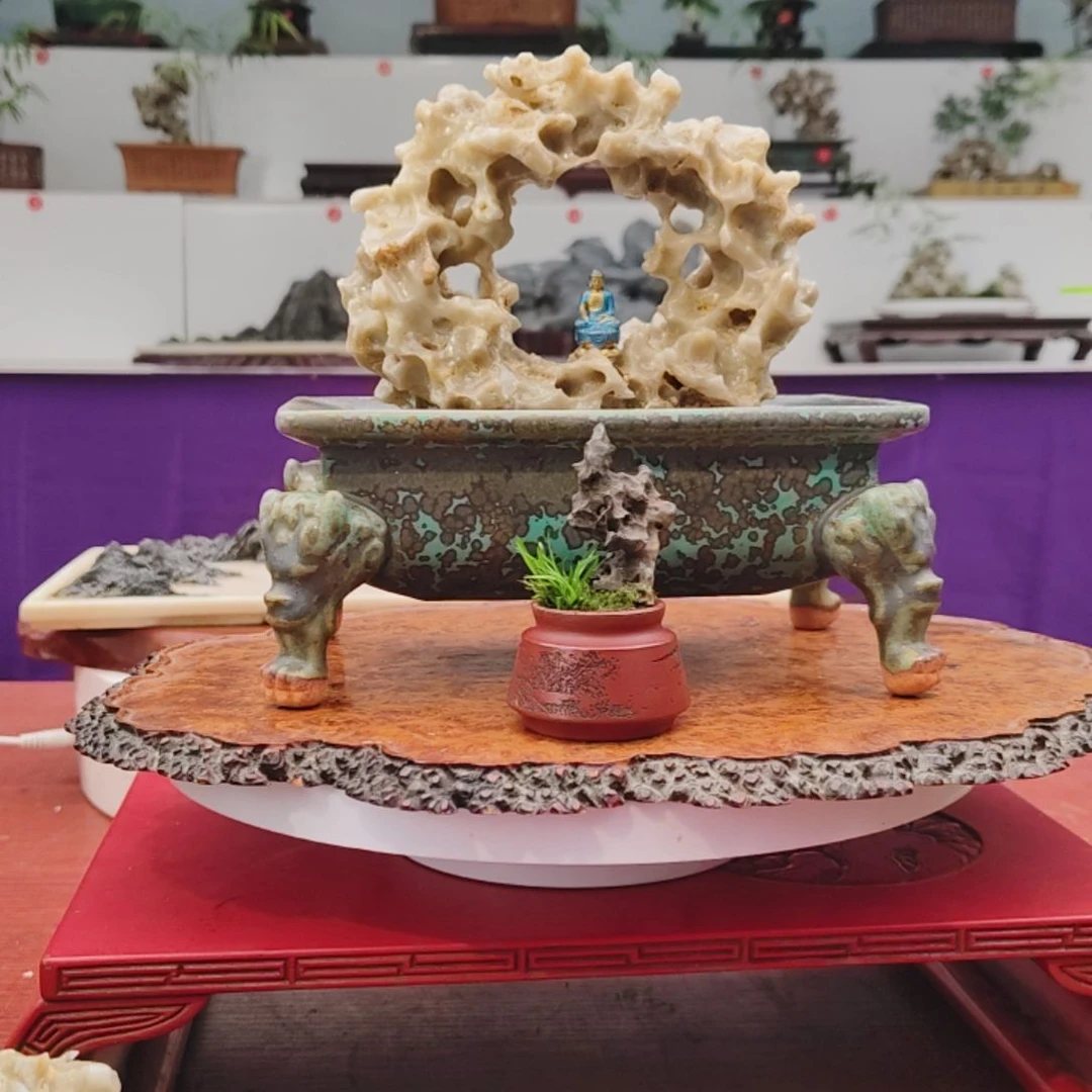 无花朵盆景，玉玲珑，福地洞天