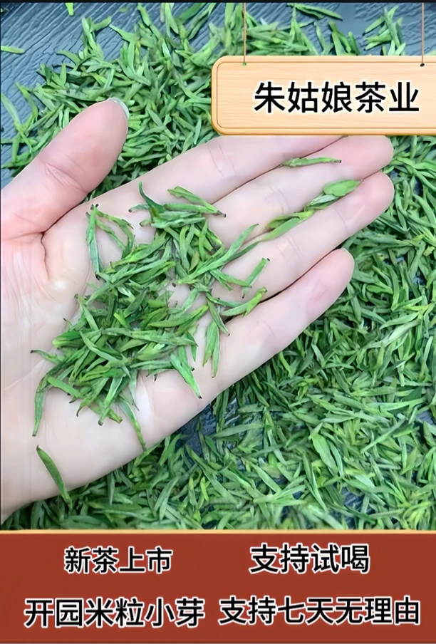 2025年新茶 米粒芽  安徽高山黄山祁门毛峰 绿茶A99款