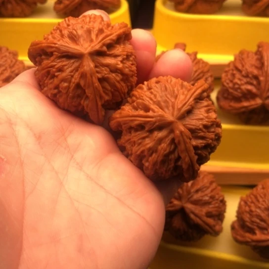 阿***辰核桃核桃，核桃核桃