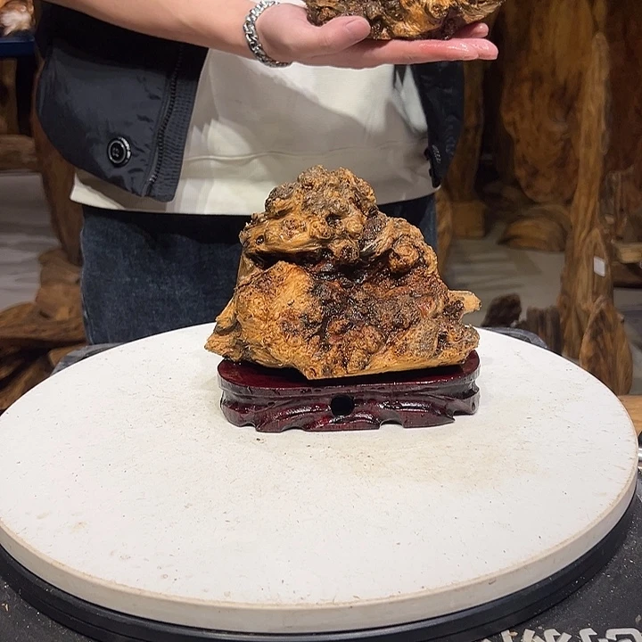 松木（琥珀木）凤**天