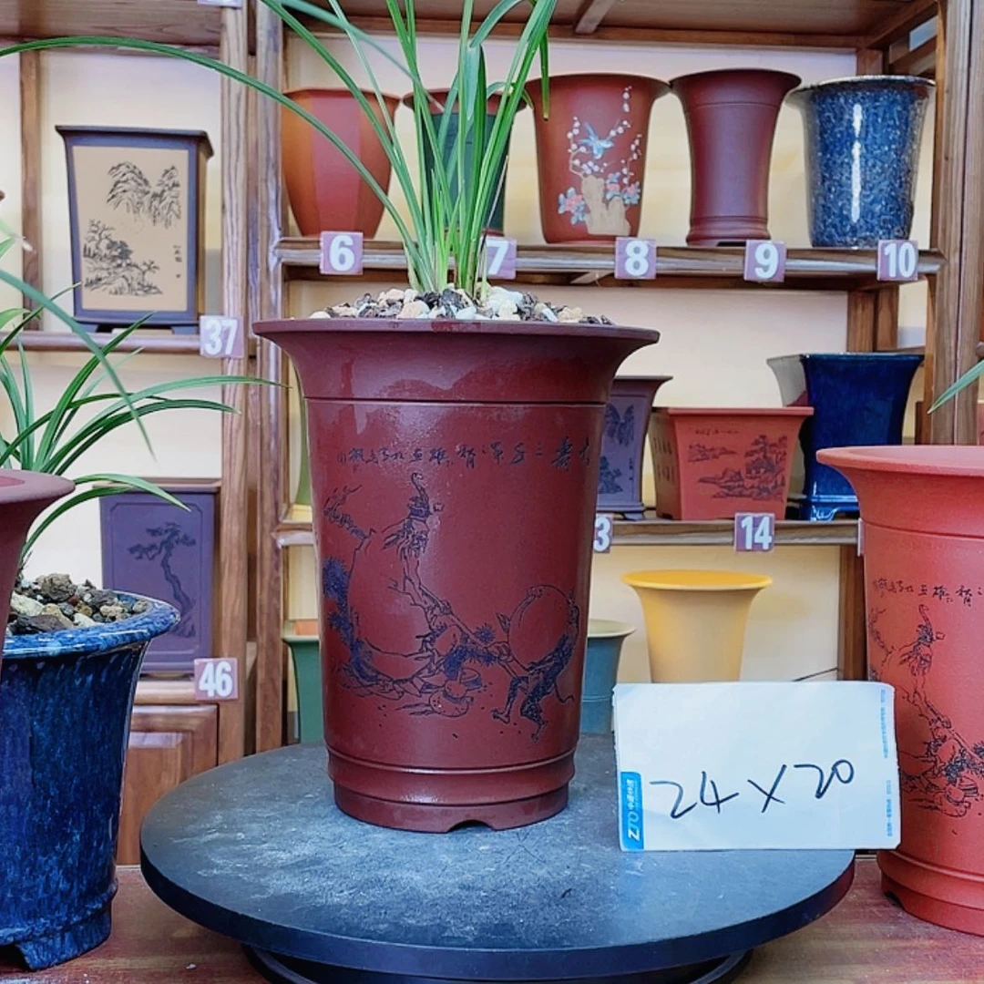 【闪购商品】紫砂花盆兰花455668555658555699