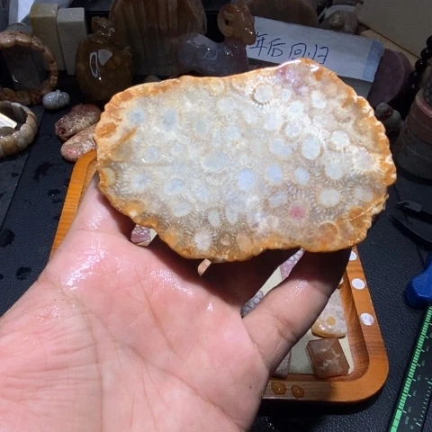 【闪购商品】硅化玉颈饰未镶嵌