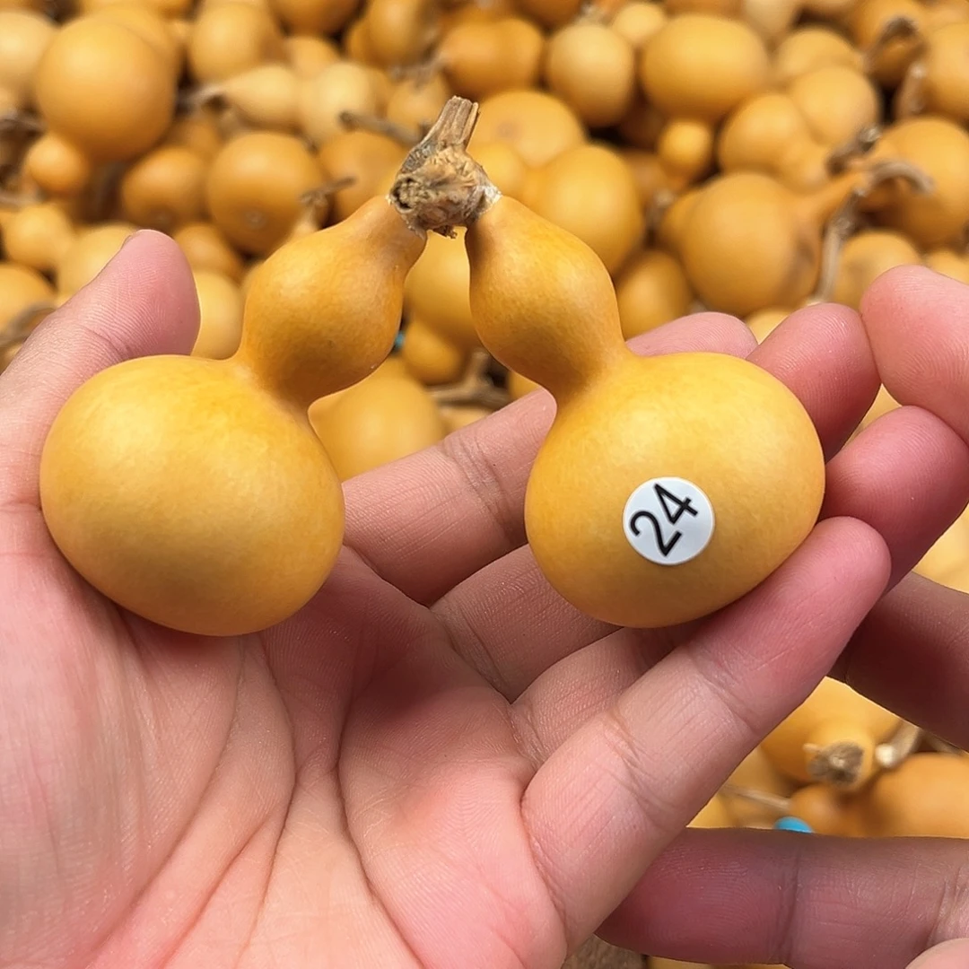 一葫芦葫芦葫芦葫芦24