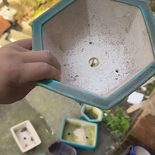 在家里等车回家就能回家吃饭吗亲