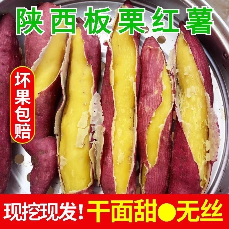 【秦五板栗薯】正宗陕西秦薯5号板栗红薯干面粉甜红皮黄心坏果包赔