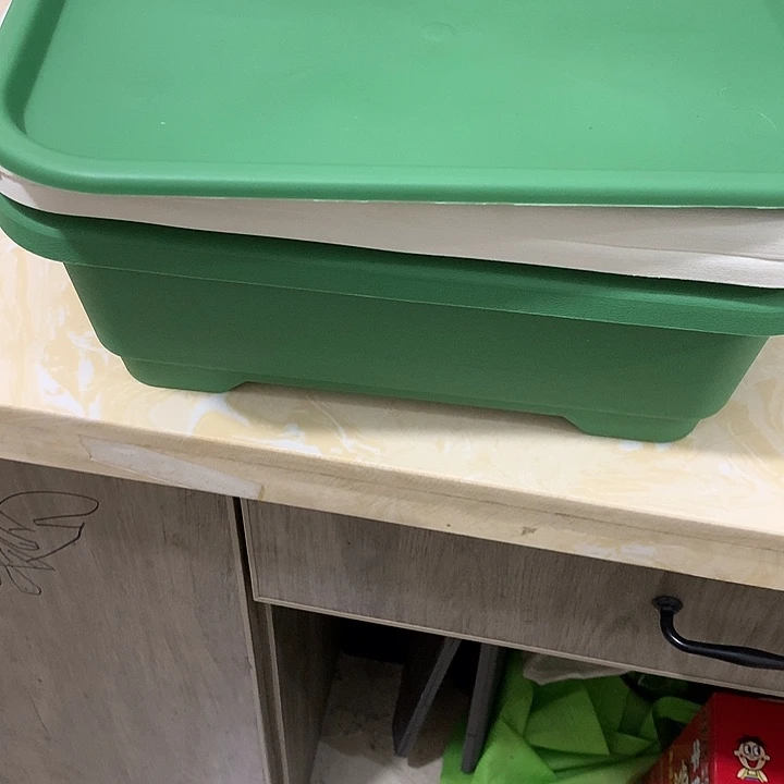 菜盆40长米白2绿1个带托