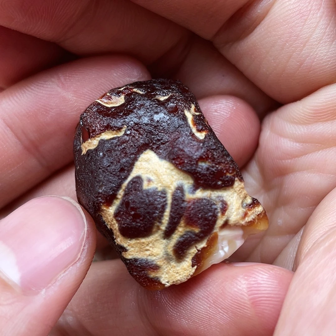 定制琥珀未镶嵌天然蜜蜡