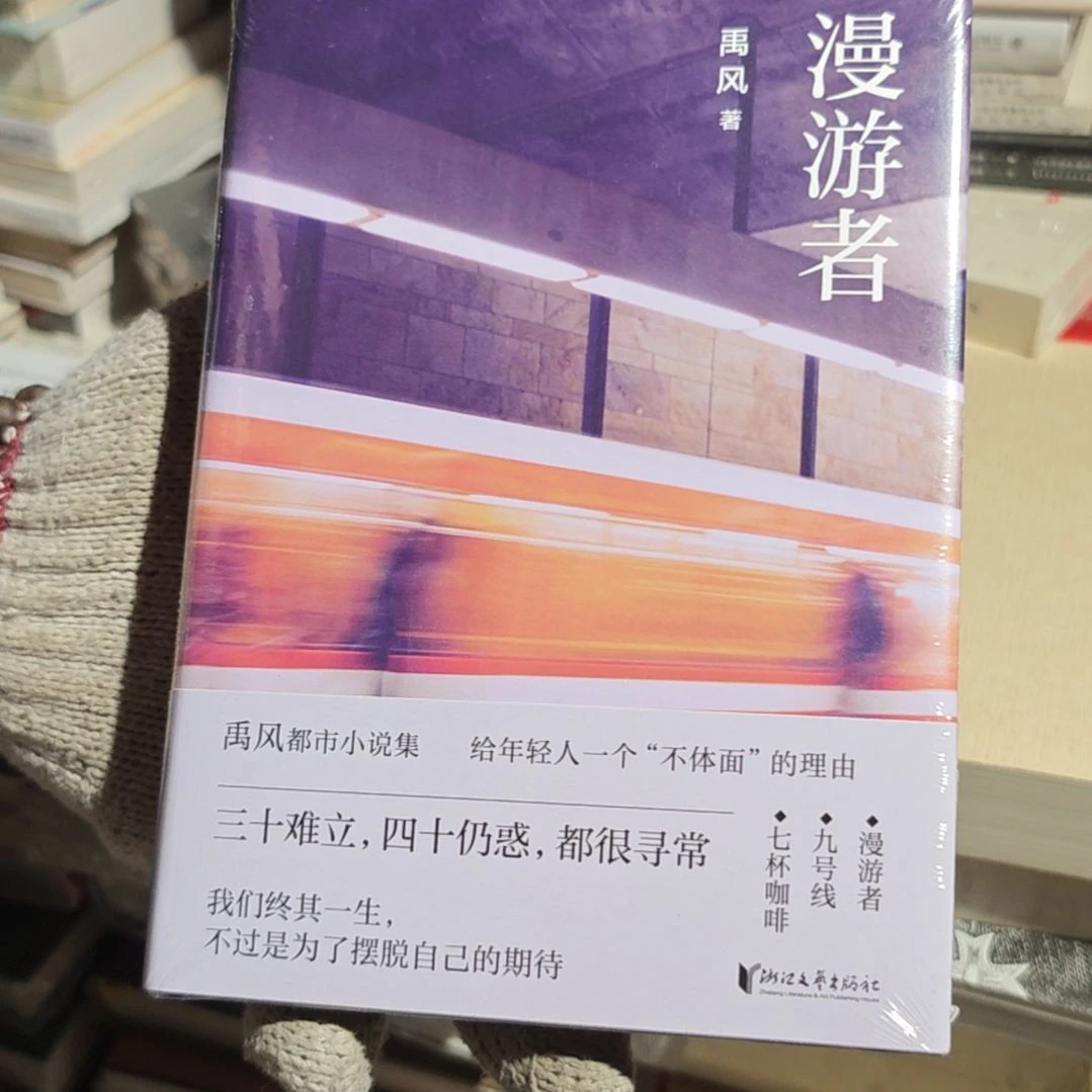 慢游者精装塑封库存书