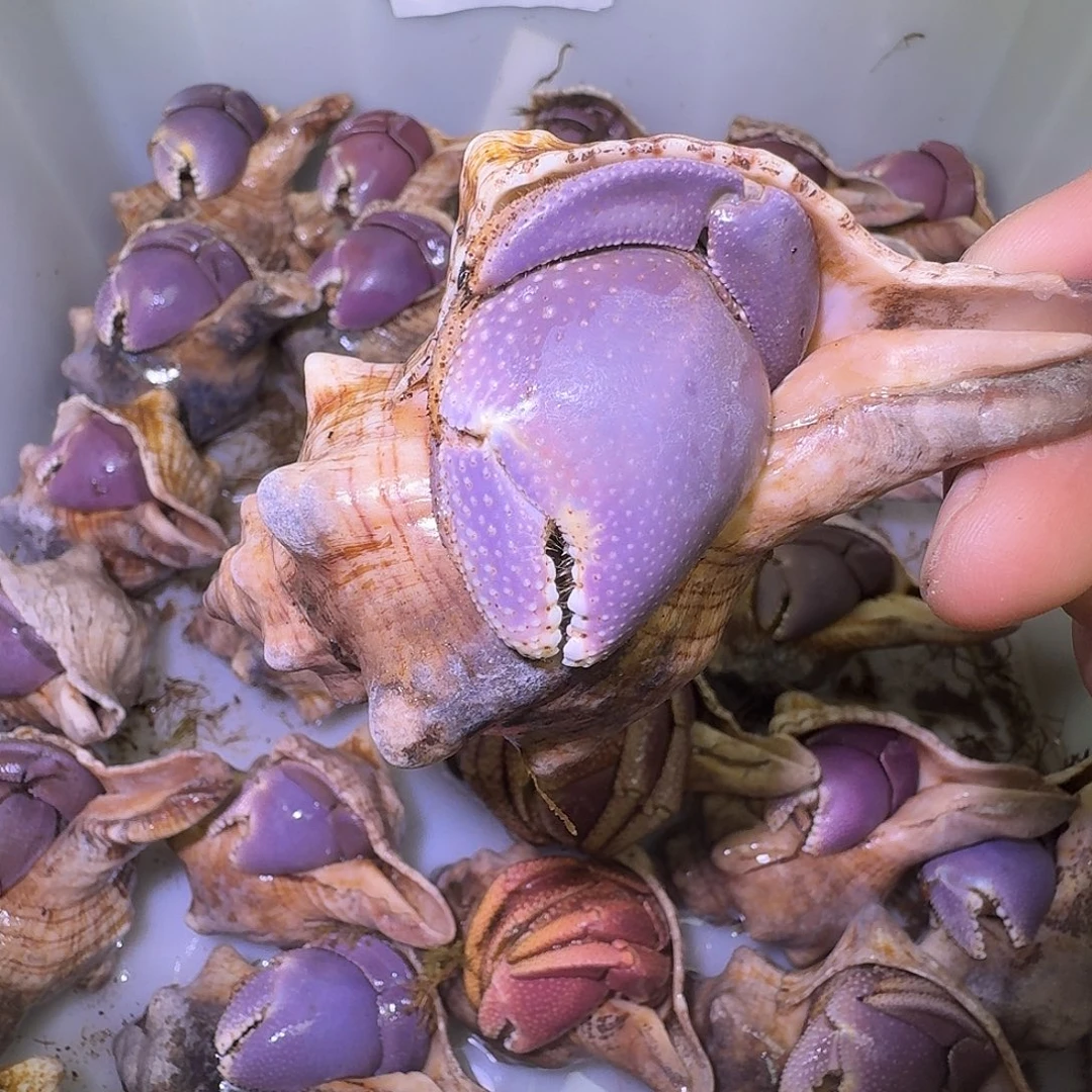 放假回家后又开始25.825.888