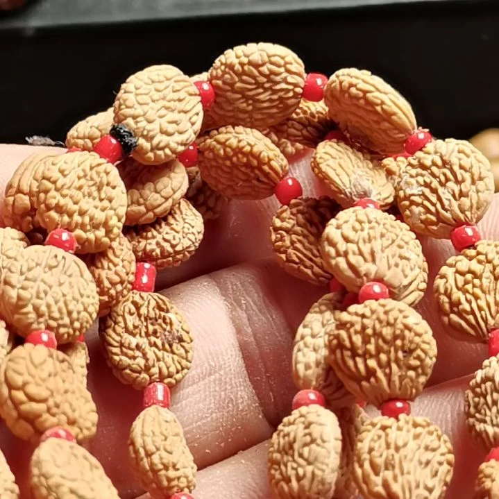 文玩核桃手串玉**窗东北秋子扁桃胡子籽20