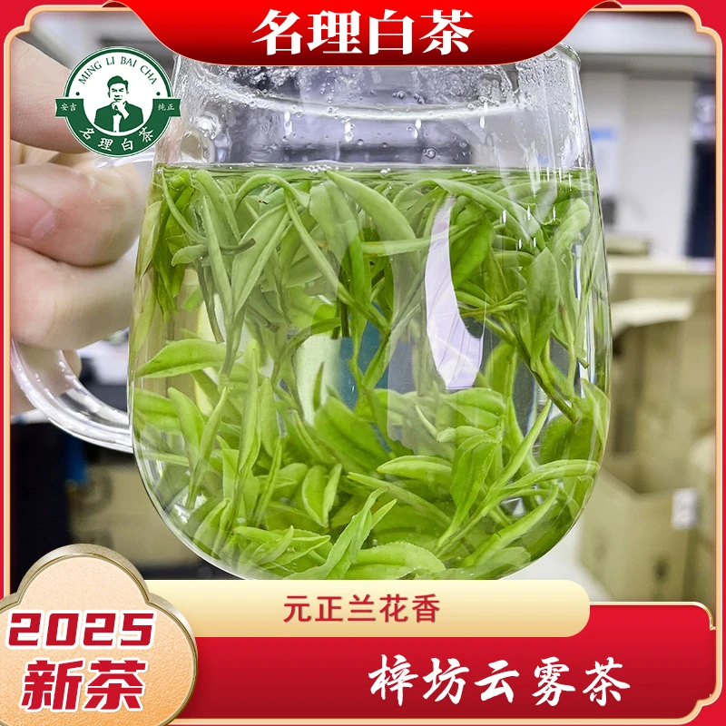 名理白梓坊云雾茶2025绿茶叶特级正宗安吉原产地品质明前团购送礼