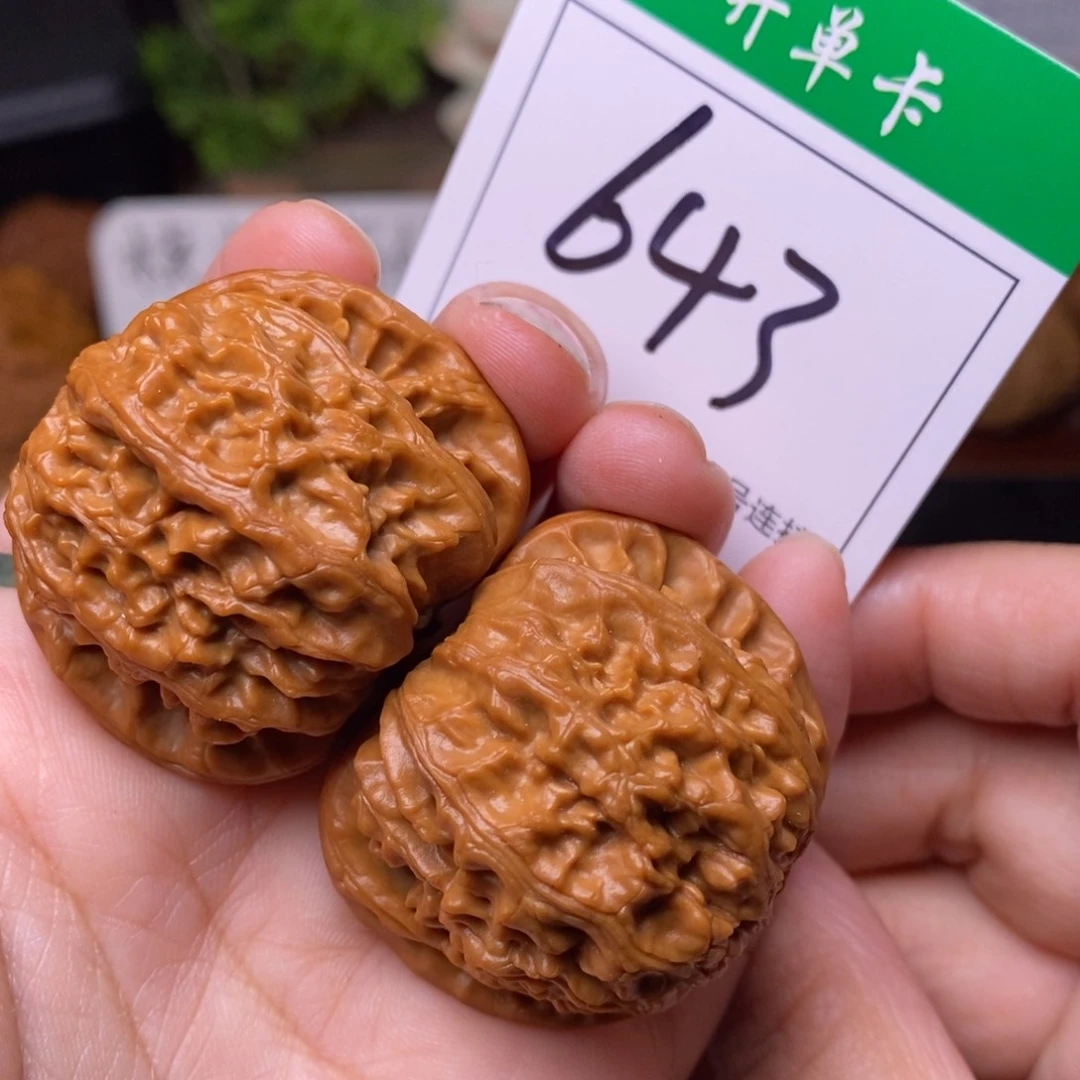 把件文玩核桃643白狮子4.0