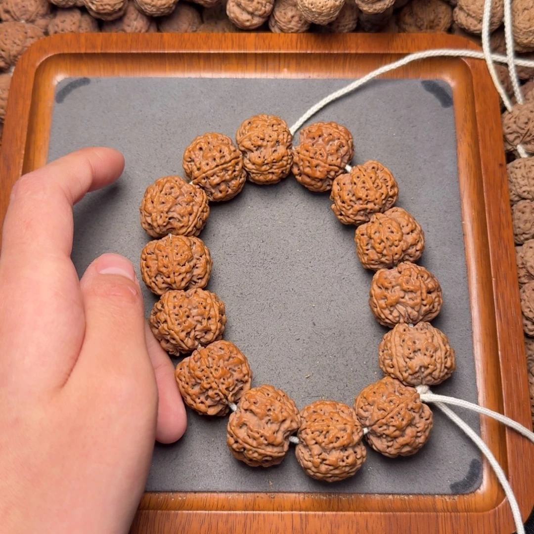 5号尼泊尔大金刚24.5-25五星梅花豆腐块