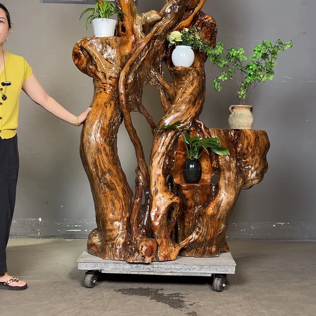 香樟木整体无拼接