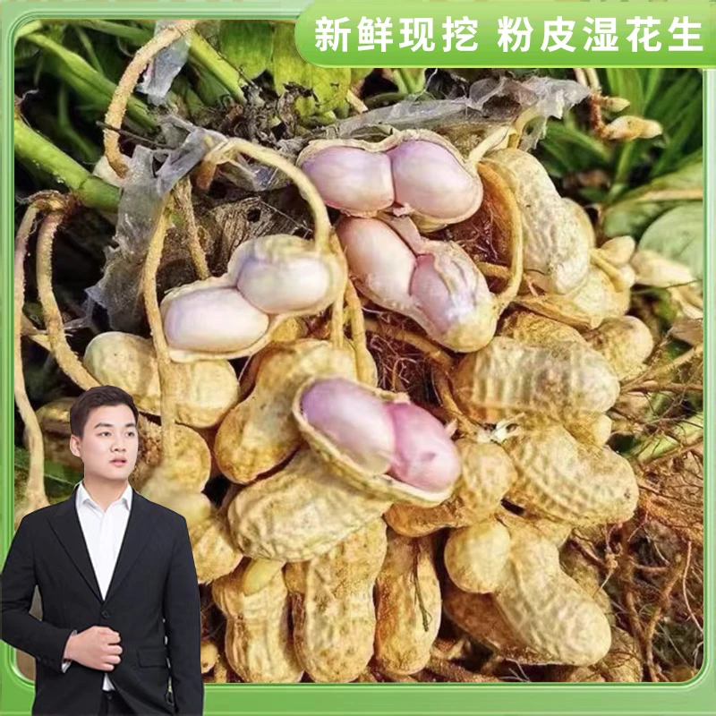 2025年新鲜粉皮湿花生3斤装红皮农家自种现挖现发带壳带泥湿花生