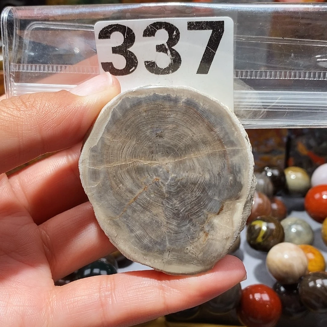 硅化玉未镶嵌天然北票硅化玉原石