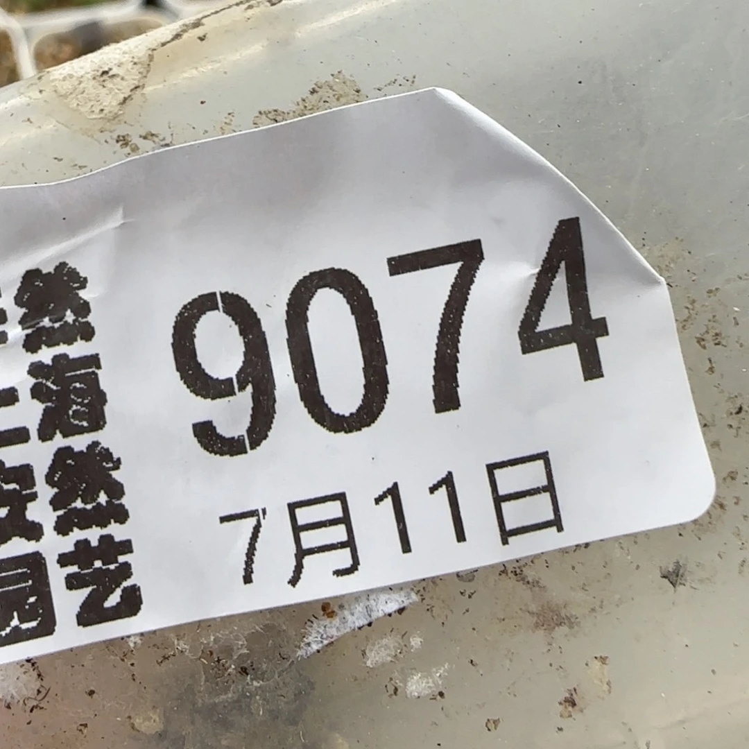 花****7.11。 217。1。.6。1，9074