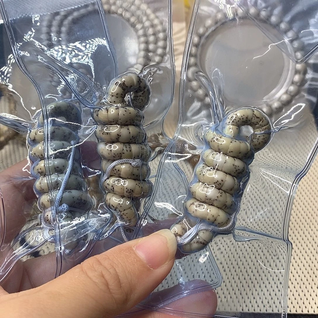 吊坠星月菩提石玉大肠6