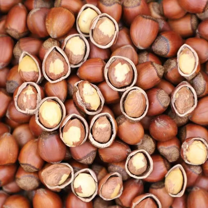 东北炒熟薄皮开口大榛子休闲零食松香酥脆皮薄仁满