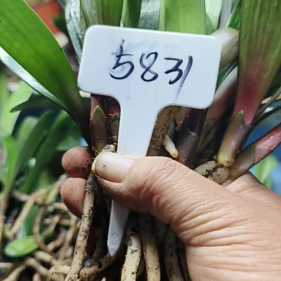 想***想完全开放0000000000