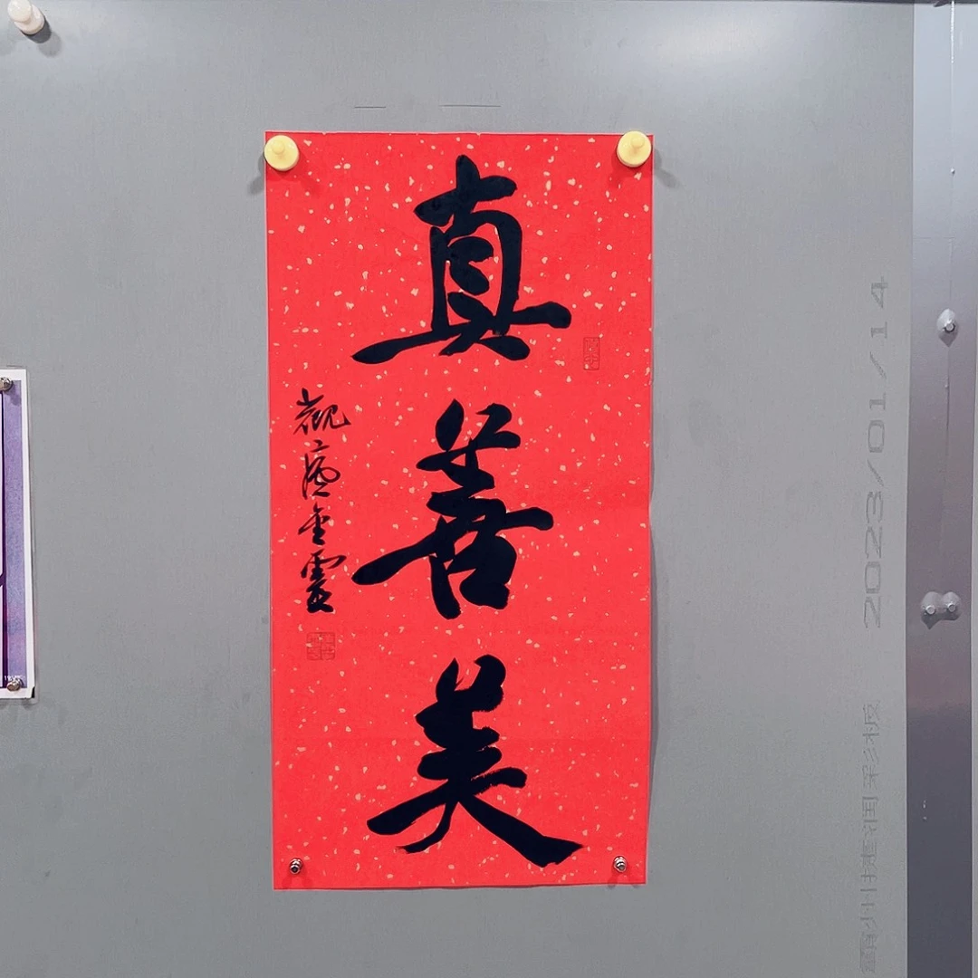 书法王金灵作品两平尺真善美