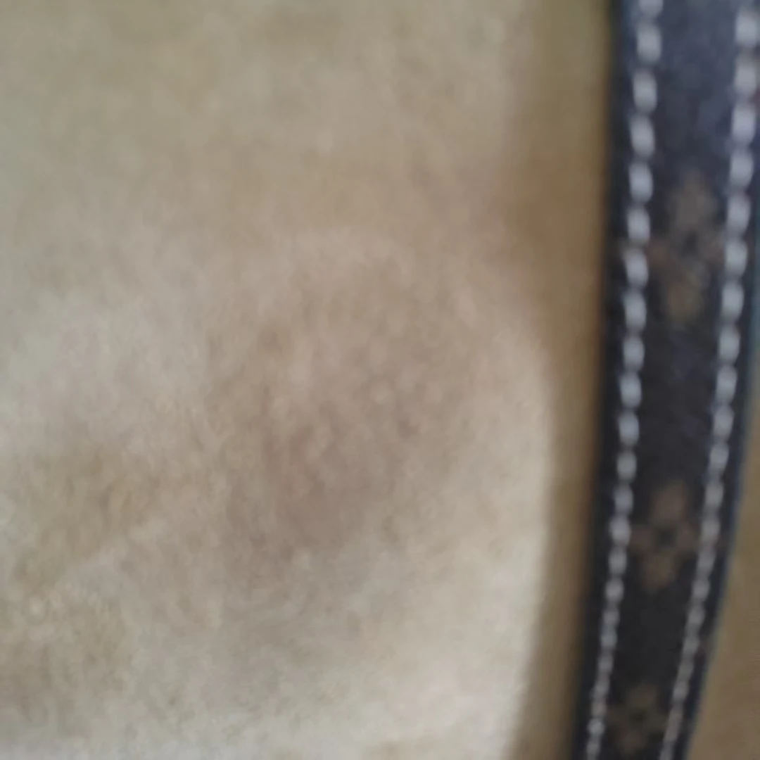 【老姐家】840麂皮枕！收纳包！带礼盒！