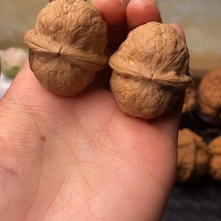 文玩核桃吊坠铁核桃48