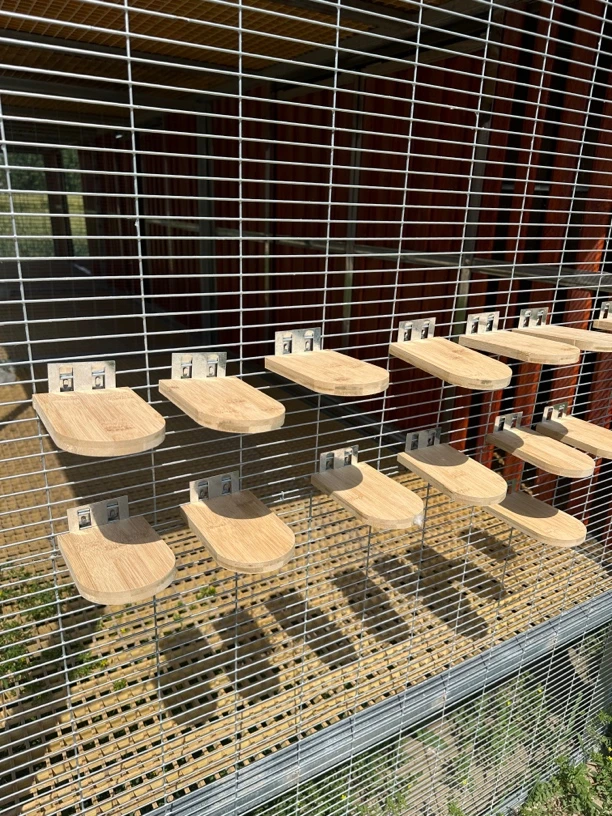 新款竹木雪糕式挂钩站架